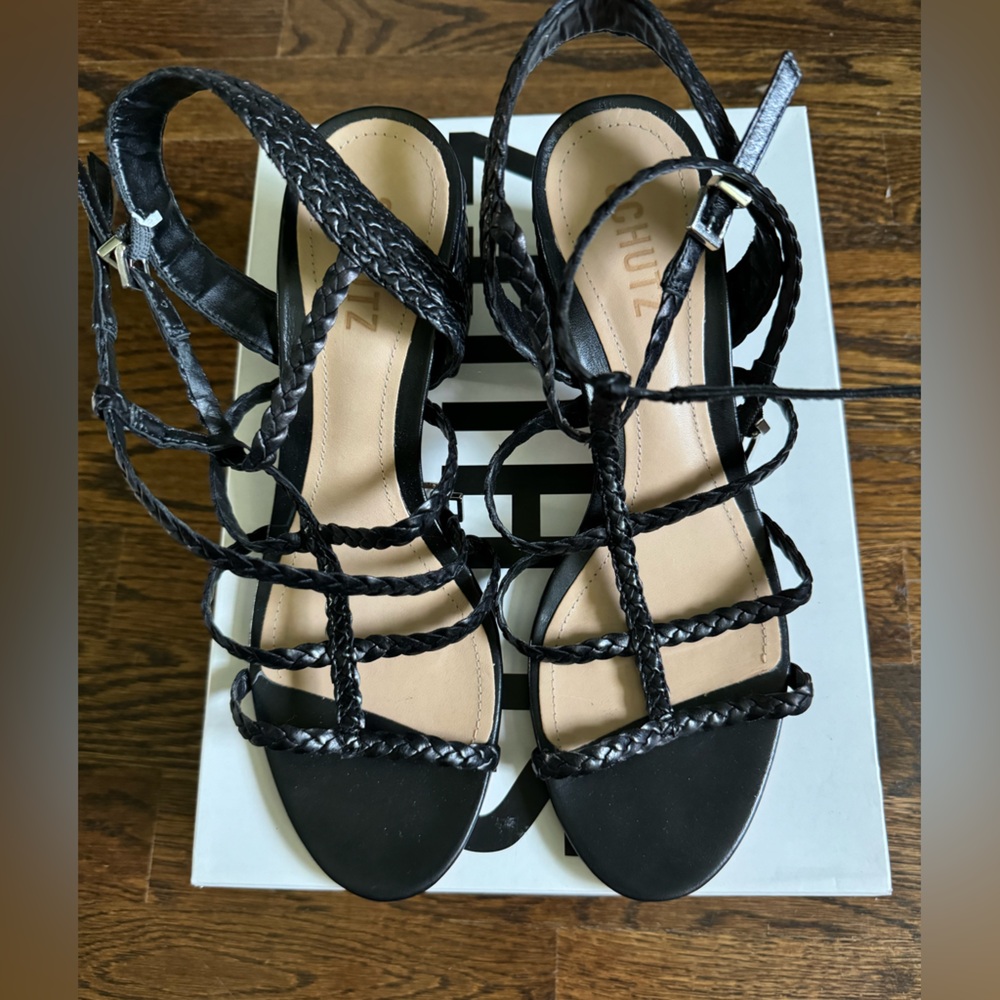 Schutz Block Heel Sandals